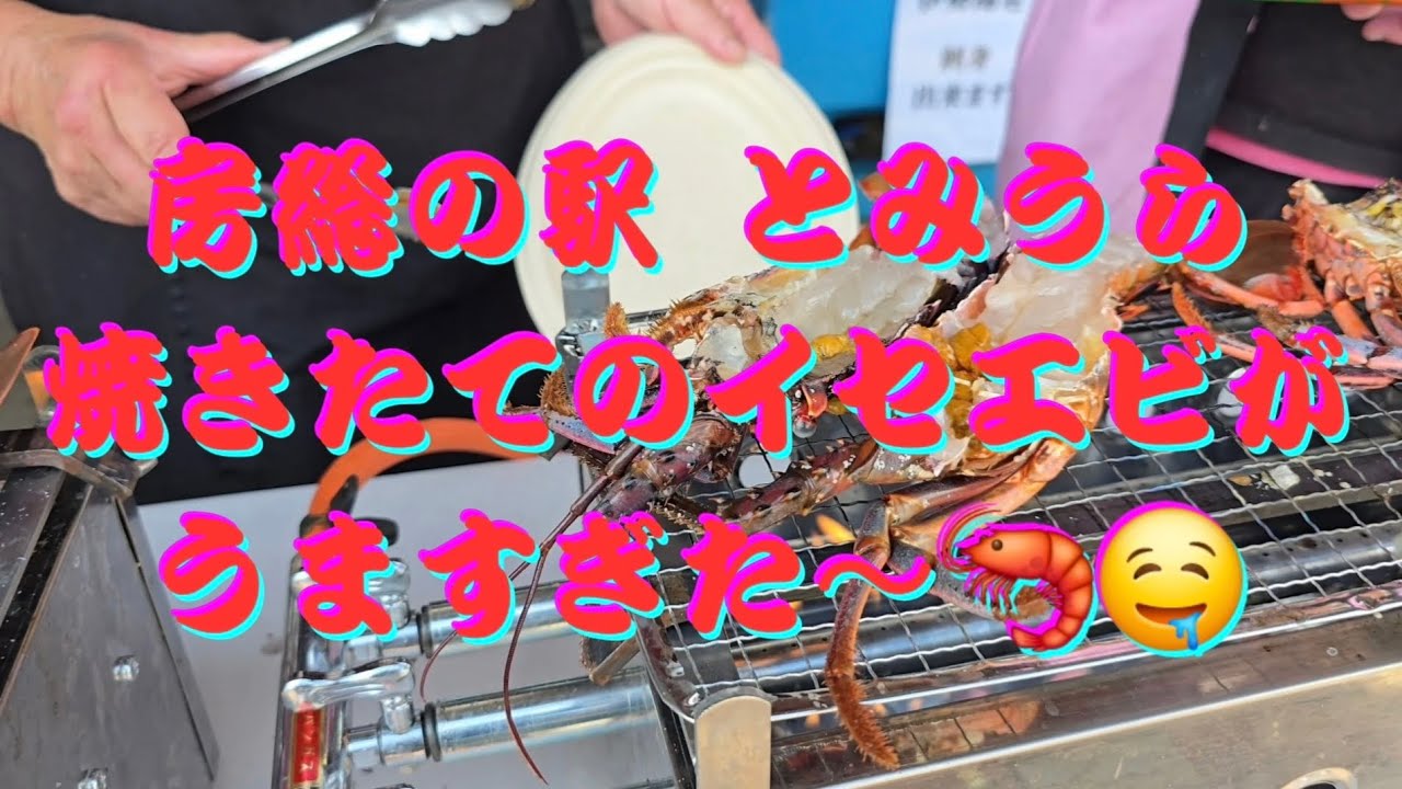 【千葉県南房総市】焼きたてのイセエビ うますぎた〜🤤 