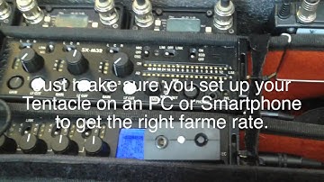 Tentacle sync single set up