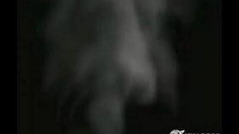 Tak and the Power of Juju GameCube Gameplay_2003_09_22_4