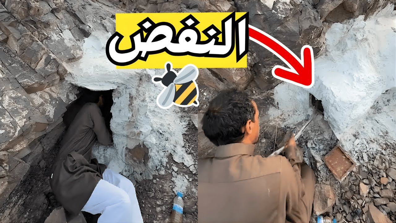 كيف نجذب النحل للخلايا؟ 🐝🍯