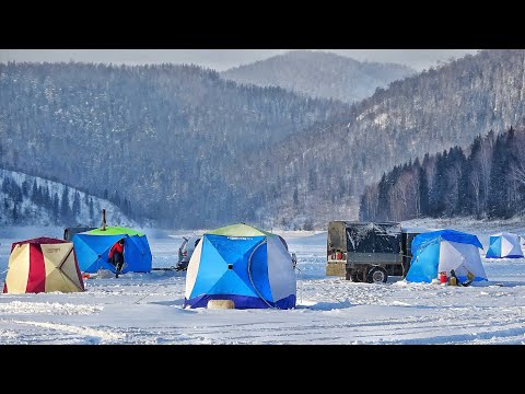 ТАКОЕ ВПЕРВЫЕ! СРАЗУ ДВА! НЕ ПОДНИМАЮТСЯ! РЫБАЛКА В НОЧЬ С БРАТОМ-БЛИЗНЕЦОМ 2024