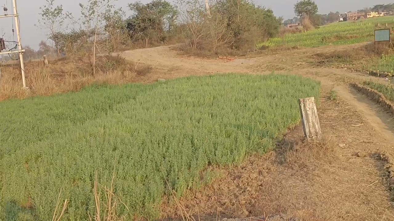 8651811640//Patna Aiims se matra 15 km per ye comercial Plot hai 10 kathe ka corner 