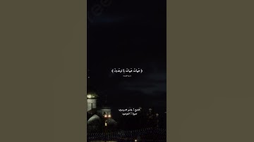 (هَيْهَاتَ هَيْهَات لِمَا تُوعَدُونَ ﴾  الشيخ ياسر الدوسري قران كريم 🌿🤍 #اذكروني_بدعوه_بظهر_الغيب