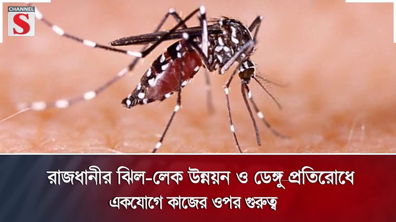 রাজধানীর ঝিল-লেক উন্নয়ন ও ডেঙ্গু প্রতিরোধে একযোগে কাজের ওপর গুরুত্ব | Channel S News |