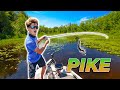 EPIC Backwater Fishing for NORTHERN PIKE! (Vicious Strikes)