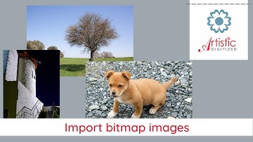 Import bitmap images