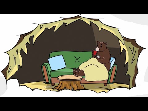 ПОЧЕМУ МЕДВЕДЬ ВПАДАЕТ В СПЯЧКУ?