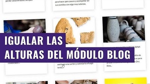 Cómo Igualar las Alturas en el Módulo Blog de Divi