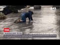 Льодовиковий період: у Києві через лід на дорогах утворилися масові затори