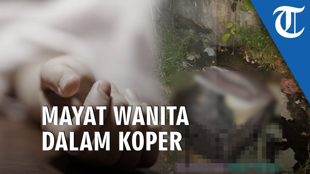 Mayat Wanita Ditemukan Dalam Koper, Dimutilasi Jadi Beberapa Bagian, Kepala Dibungkus Plastik mayacol