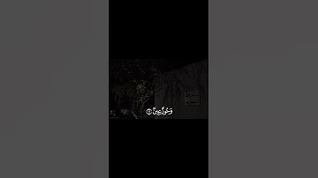 |عمير شميم | سورة الواقعه ( وحور عين كأمثال اللؤلؤ المكنون ) | قرآن