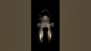 آيات من سورة الانفال بصوت ماهر المعيقلي 🌹