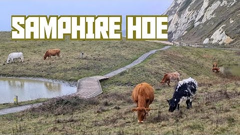 Stroll Around Samphire Hoe, Kent
