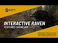 Raven - Features Showcase
