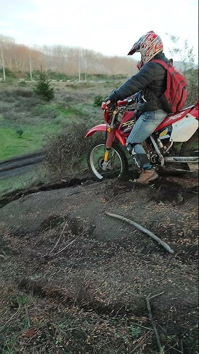 Honda xr 250 for sale craigslist