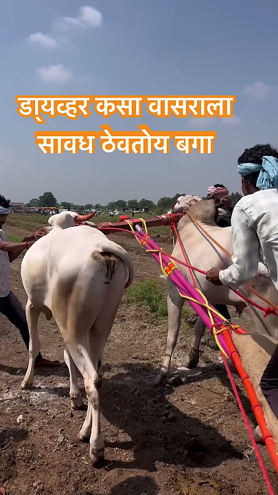 Kim hozir Oryolda jinsiy aloqa qilishni xohlaydi?