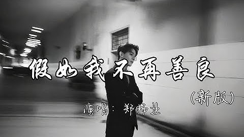郑畅业 - 假如我不再善良（新版）『假如有一天 我不再善良 一定是善良 给了我绝望。』『动态歌词MV』