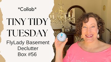 Tiny Tidy Tuesday Collab | Box #56 | FlyLady Babysteps Basement Declutter