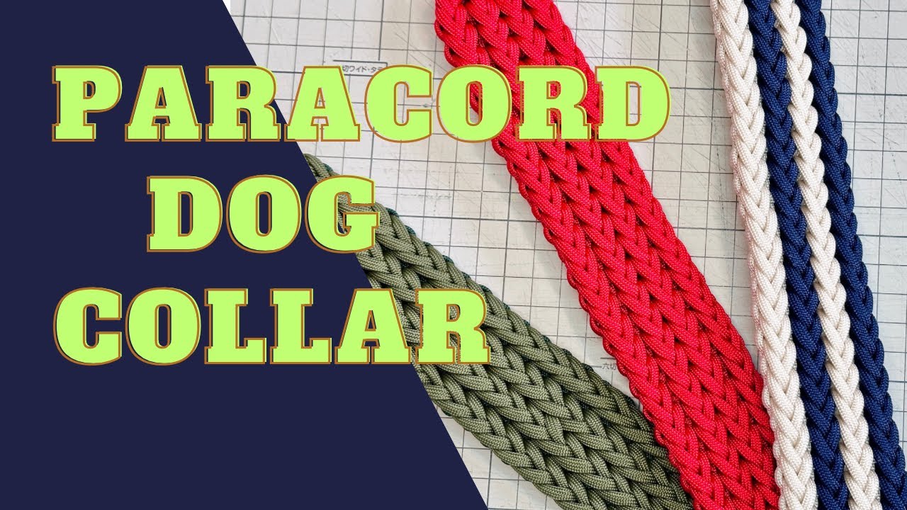 #68 パラコード首輪　#paracorddogcollar#paracord#パラコード首輪#paracordtutorials