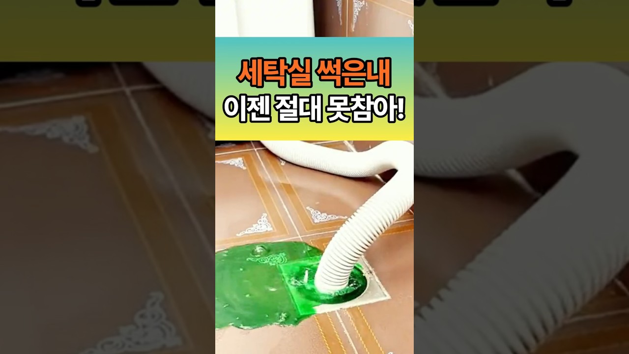 세탁실 하수구 악취/벌레 싹! 5초 설치로 완벽 차단하는 [자폐식 냄새 제거 트랩] 세탁기 하수구 냄새, 벌레 잡는 가장 확실한 솔루션!