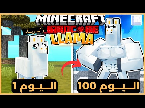 قضيت 100 يوم ك لاما في ماينكرافت هارد كور إليكم ما حدث
