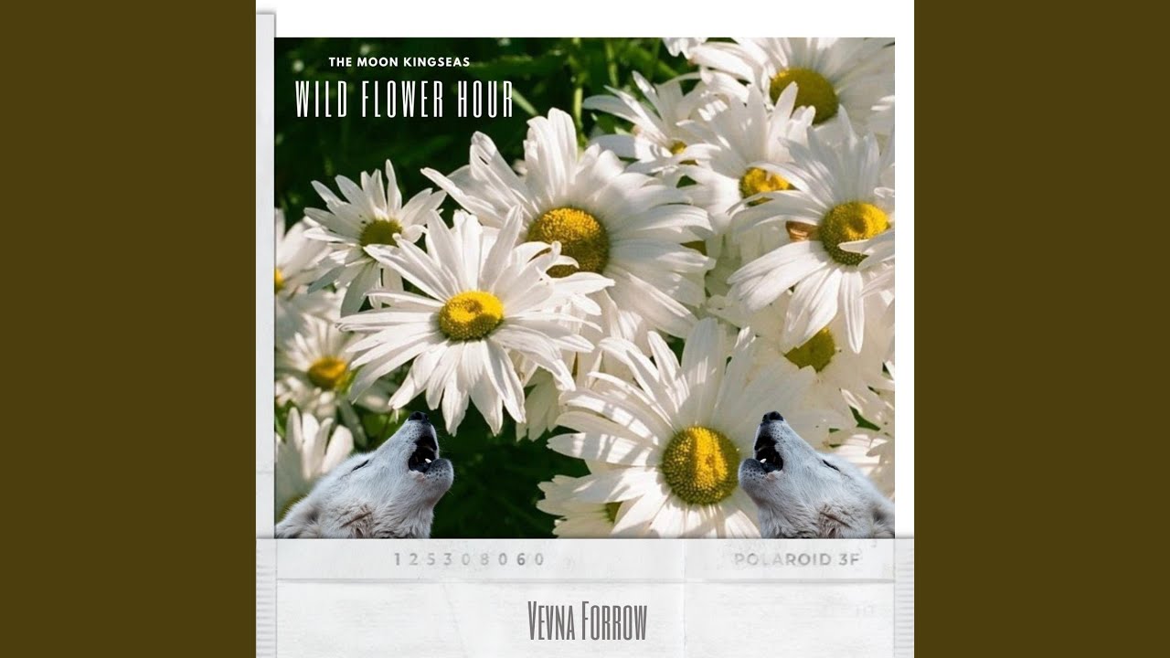 Wild Flower Hour (feat. Vevna Forrow) YouTube