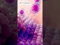 Advanced Medicines &amp; Immunotherapy in Cancer | Dr. Muveen Kumar |