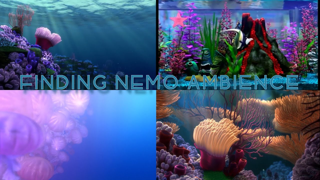 Finding Nemo Ambience