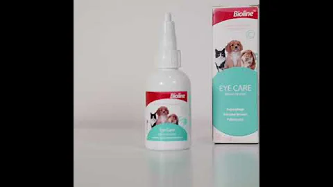 Video 3182591: pet bath, pet shampoo, pet water, cat animals