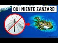 L’Unico Posto Sulla Terra Senza Zanzare