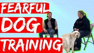 How to work with fearful dog Part 2 Training a shelter dog