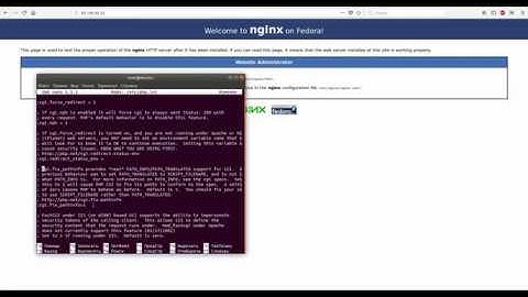 Установка стека lemp