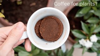 Unlock the Secret: How Coffee Grounds Can Boost Your Garden’s Growth