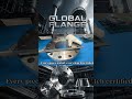 High-Quality Services of the Global Flange Platform