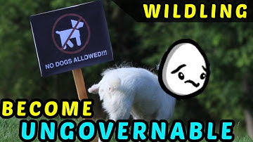 Brotato Wildling Danger 5 Guide and Walkthrough