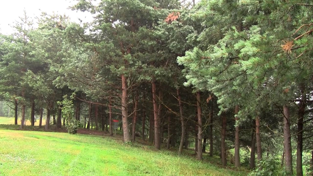 lcgm8 Disc Golf - Tali Open doubles pt2 - YouTube