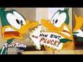 Best of plucky duck   tiny toon adventures generationwb