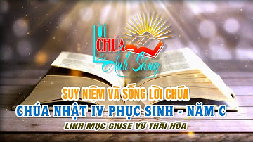Chúa nhật IV Phục sinh – Năm C – Lm. Giuse Vũ Thái Hòa