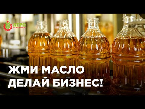 Бизнес на отжиме масла. Какие есть особенности и тонкости.