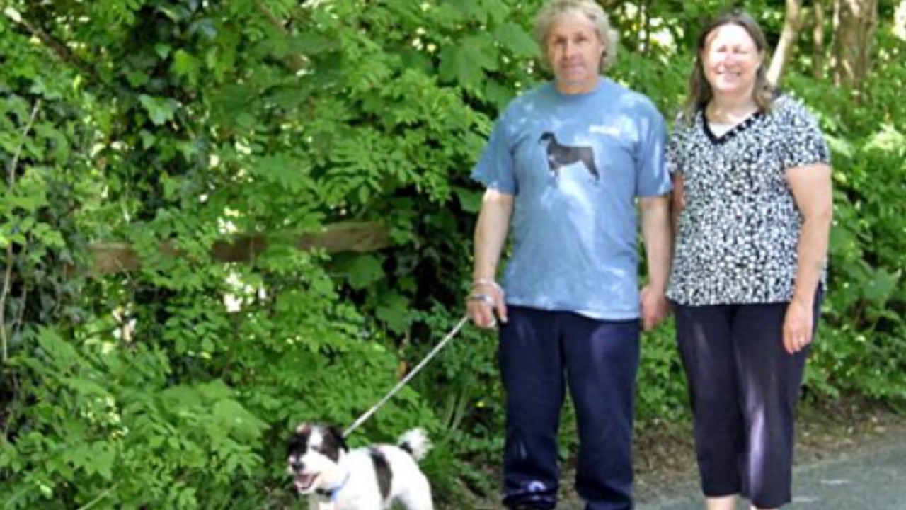 Boarding Kennels Branch Cottage Kennels Cattery Youtube