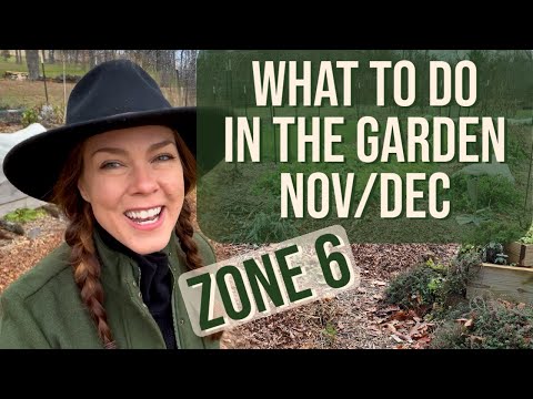 What To Do in the Garden in November & December: Zone 6