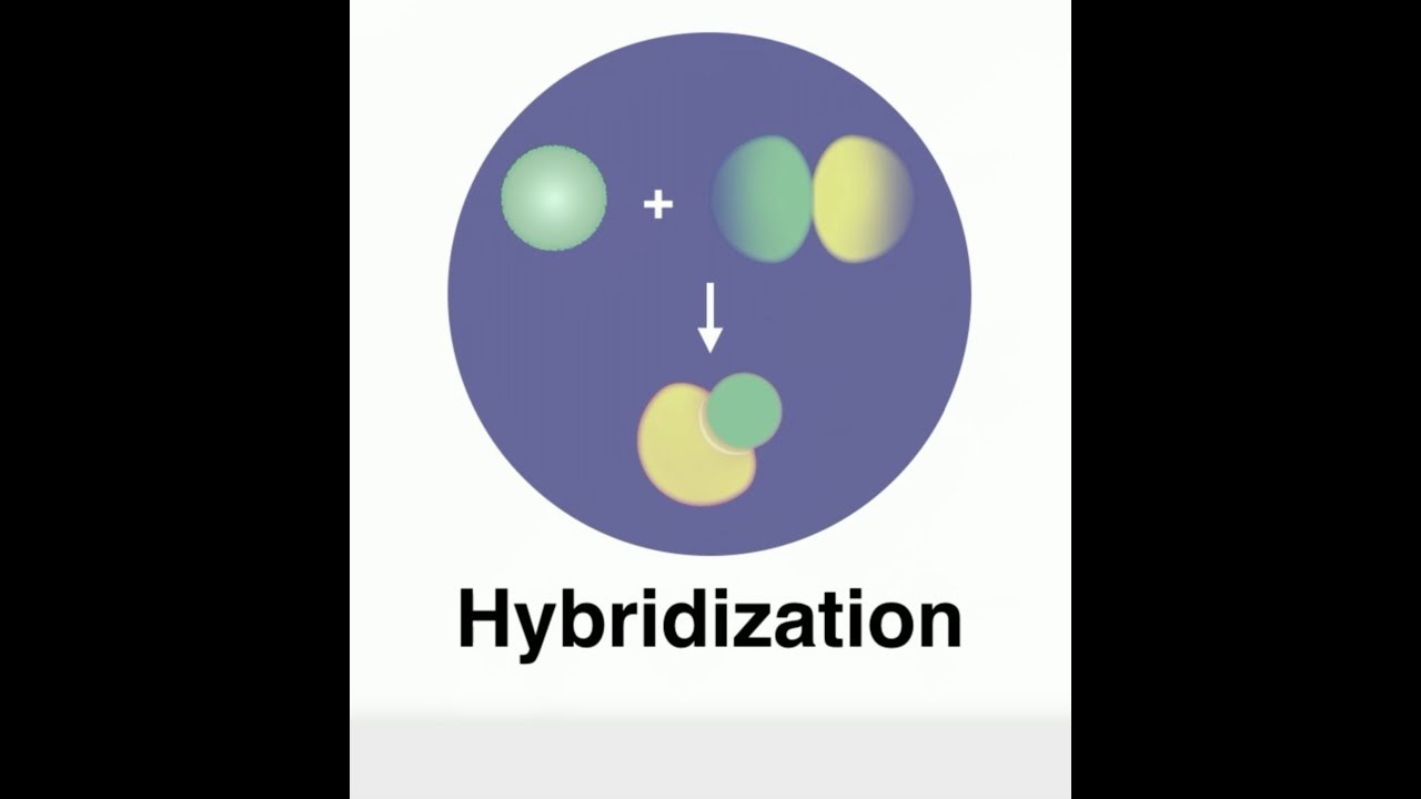 Hybridization YouTube