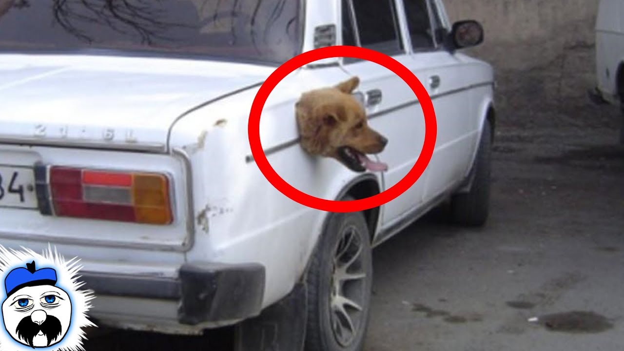 creepypasta anime 15 Real Life Glitches Caught On Camera