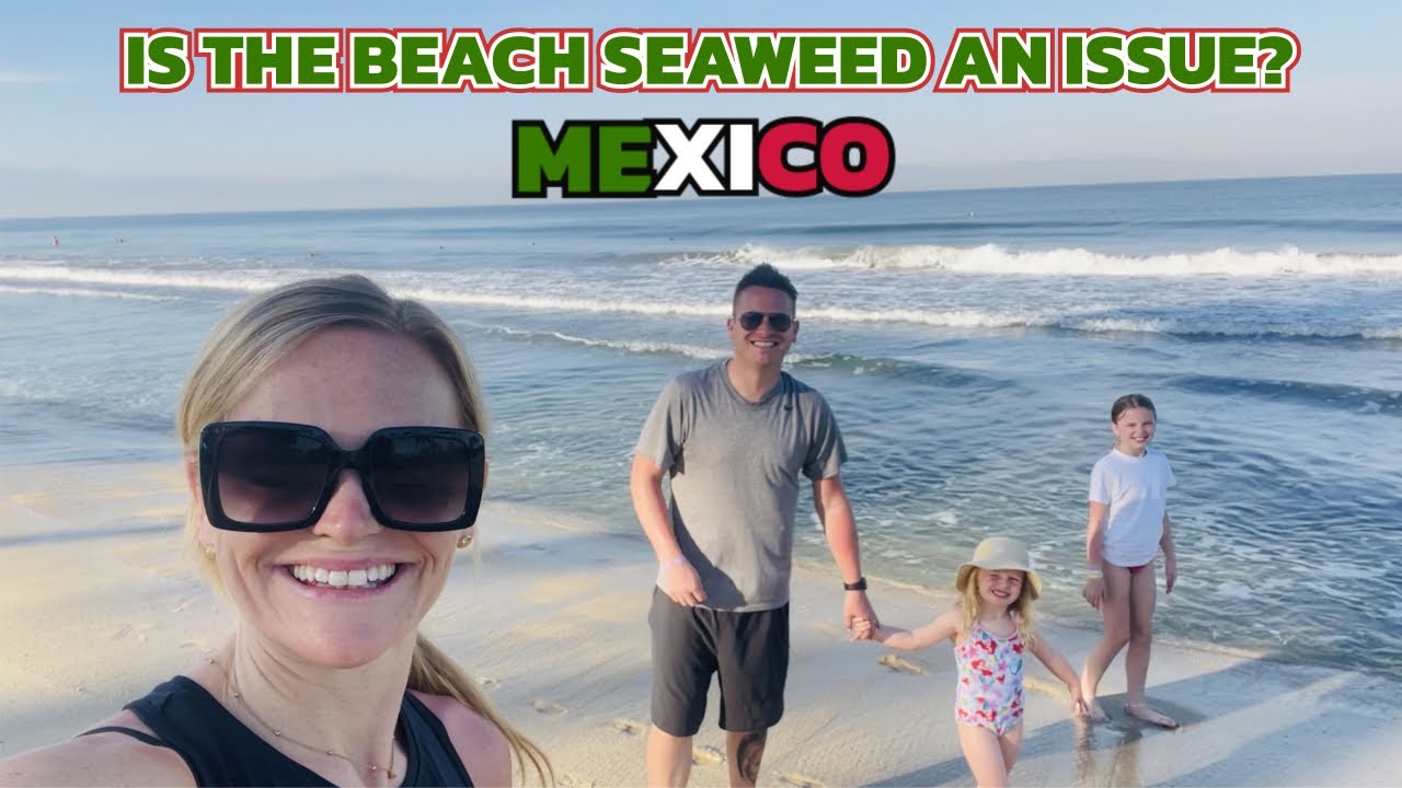 Is Seaweed an issue on Puerto Vallarta Beach? Riu Vallarta Sports Bar
