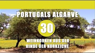 Folge 30: Weinkorken aus der Rinde der Korkeiche, Portugals Algarve auf eigene Faust