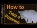 Possum Trapping