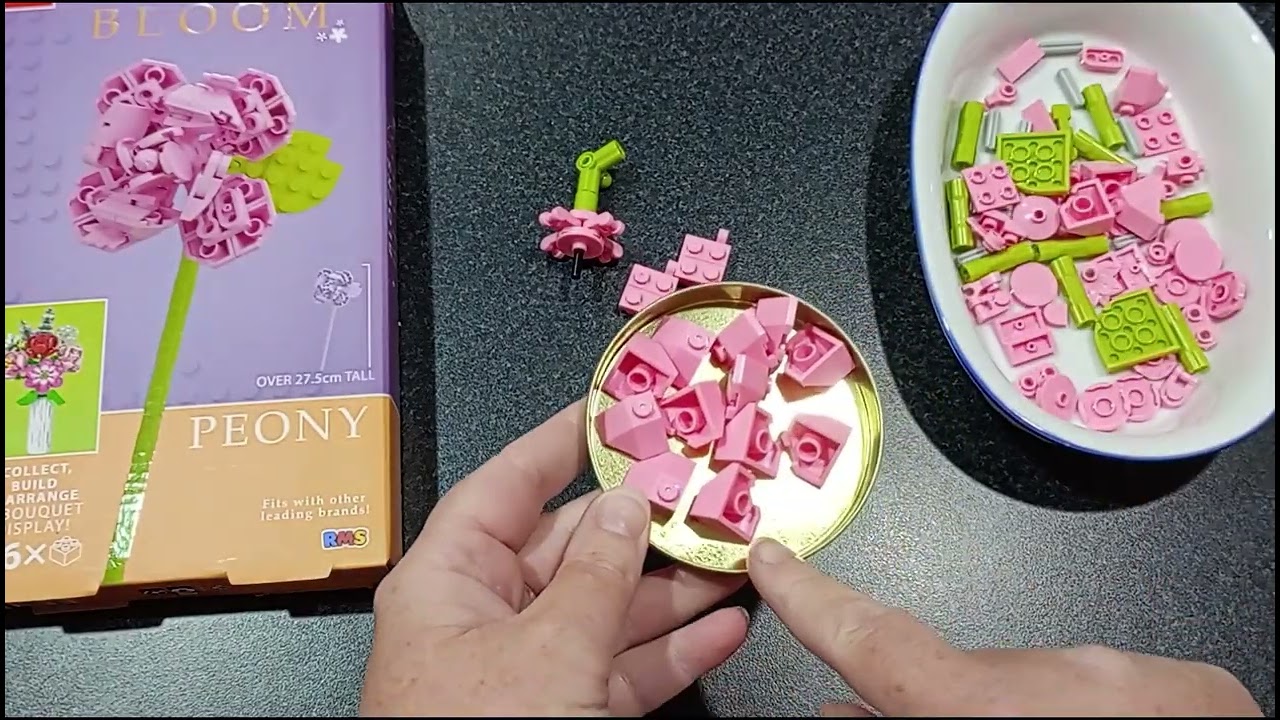 Coin Rollover 🌸 Building Blocks Flower Part 4 🌸 Australian Money Saving Challenge
