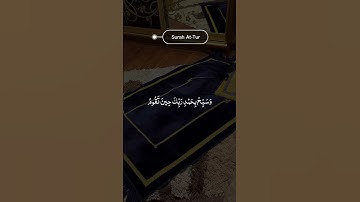 #راحة_نفسية #love #آيات #quran #foryou #ايات_قرانيه_قصيره #قرآن #هدوء #تلاوة_هادئة #allah #الله #fyp