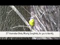 Birding Quiz:  27 Australian Songbirds of Sydney, Melbourne, Tasmania.