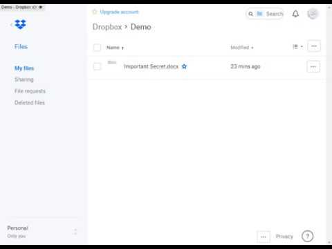Dropbox File Version